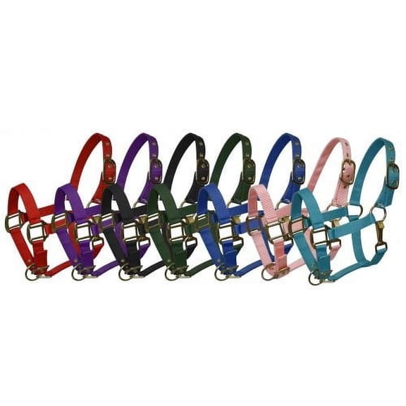 Pony Size Adjustable Triple Ply Nylon Halter w/ Brass Hardware (Black)