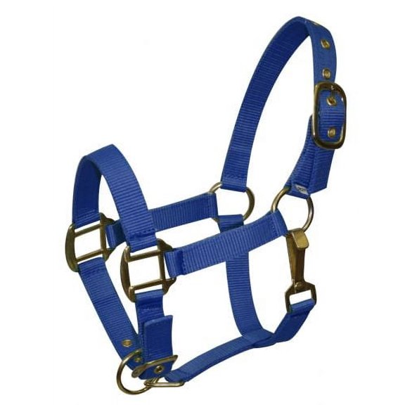Pony Size Adjustable Triple Ply Nylon Halter w/ Brass Hardware (Blue)