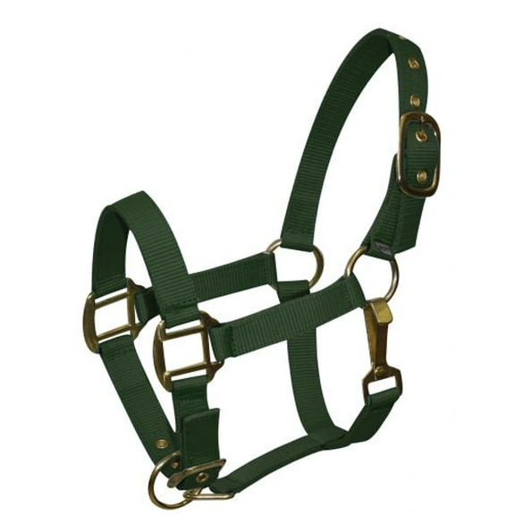 Pony Size Adjustable Triple Ply Nylon Halter w/ Brass Hardware (Green)
