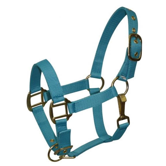Pony Size Adjustable Triple Ply Nylon Halter w/ Brass Hardware