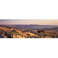thumbnail image 1 of Pony at Staple Tor, Dartmoor, Devon, England Poster Print (27 x 9), 1 of 1