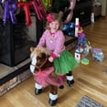 thumbnail image 1 of PonyCycle Ride on Horse Toy Riding Plush Pony Walking Rocking Horse Toy with Hand Brake for Toddlers Age 3-4 Years Ux324, 1 of 12
