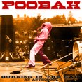 thumbnail image 1 of Poobah - Burning In The Rain: An Anthology - Music & Performance - Vinyl, 1 of 2