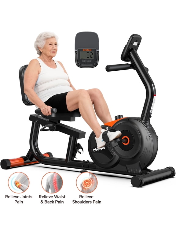 Recumbent Exercise Bike Magnetic Stationary Cycling Bicycle Indoor Workout Bikes with Large Caption Display & Adjustable Resistance for Home Seniors Adults Max Weight 350LBS
