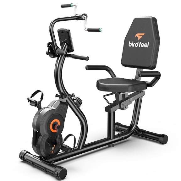 LNOW Recumbent Stationary Bike for Home with Arm Exerciser , Low-Impact Cardio & Physical Therapy for Seniors