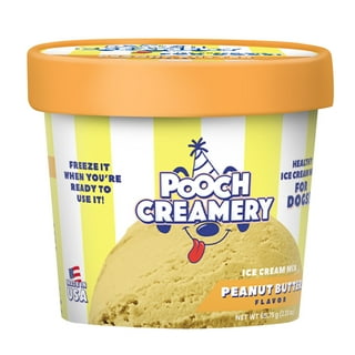 Dog Ice Cream Treats