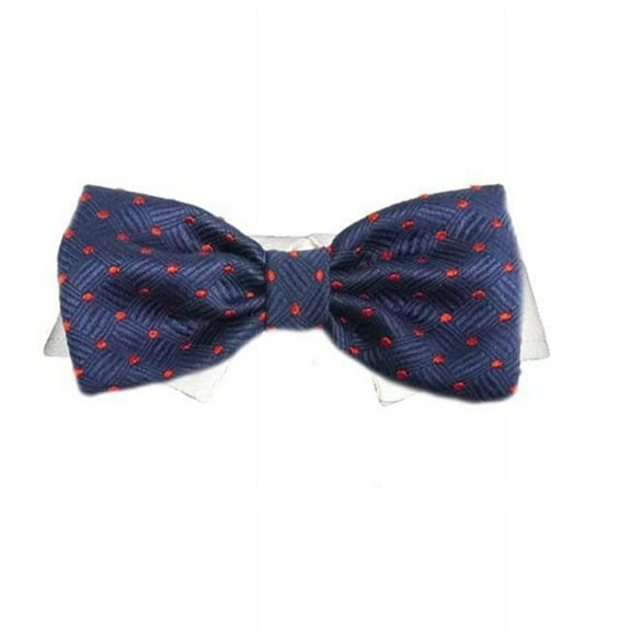 Pooch Outfitters  Andrew Bow Tie - Blue - 2XL