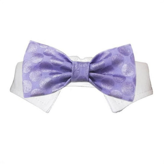 Pooch Outfitters Dylan Bow Tie - Purple - Medium