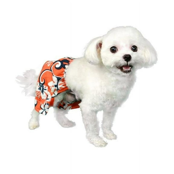 Pooch Outfitters PCYS-L Cayman Swim Trunk, Orange - Large