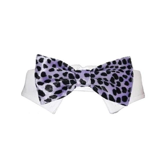 Pooch Outfitters  Roberto Bow Tie - Purple - Extra Large