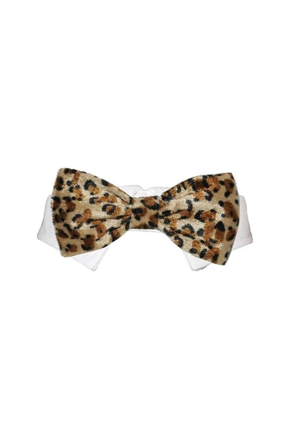 PRTA-3XL Roberto Bow Tie, Tan - 3XS
