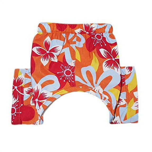 Pooch Outfitters Tasmania Dog Swim Trunk - XXS
