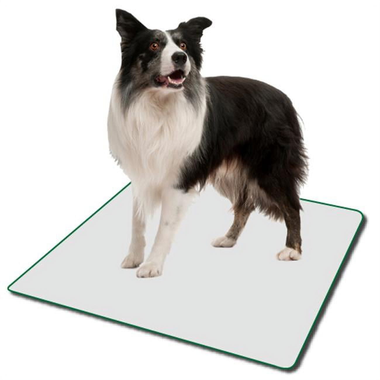 Poochpad PG2836RP Large Indoor Turf Dog Potty Replacement Pad