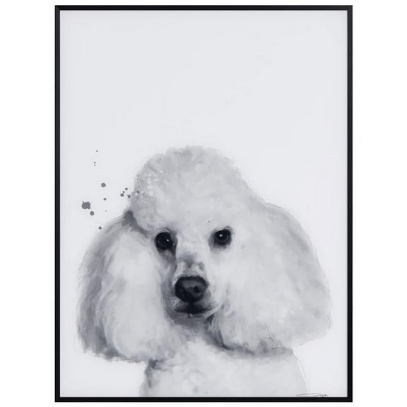 "Poodle" Black and White Pet Portraits on Reverse Printed Art Glass, Minimally Encased on Black Anodized Aluminum Frame