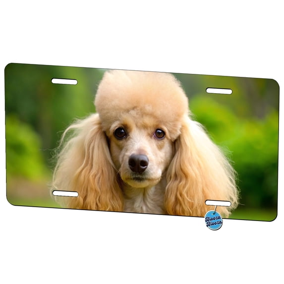 Poodle Dog Photo Metal Novelty License Plate