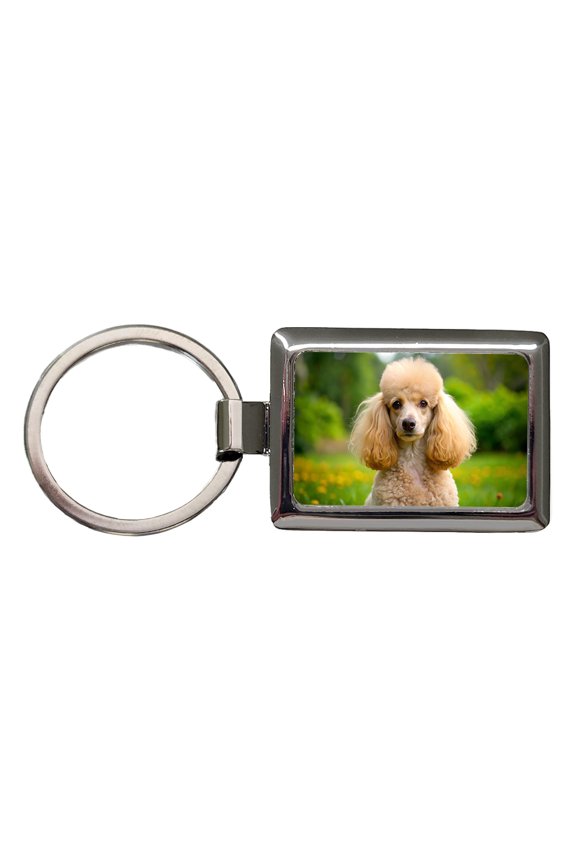 Poodle Dog Photo Metal Rectangle Keychain