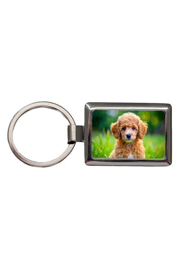 Poodle Dog Puppy Photo Metal Rectangle Keychain