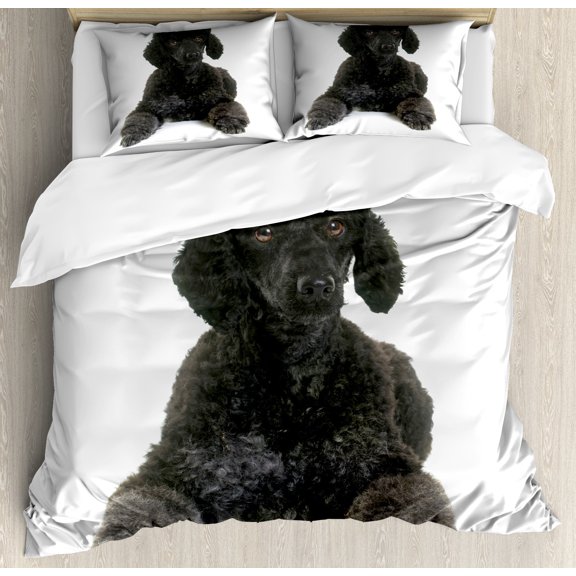 Poodle Duvet Cover Set, Fluffy on a Plain Background Animal Lover's Theme Purebred, Decorative 3 Piece Bedding Set with 2 Pillow Shams, Queen Size, Dark Grey White, by Ambesonne
