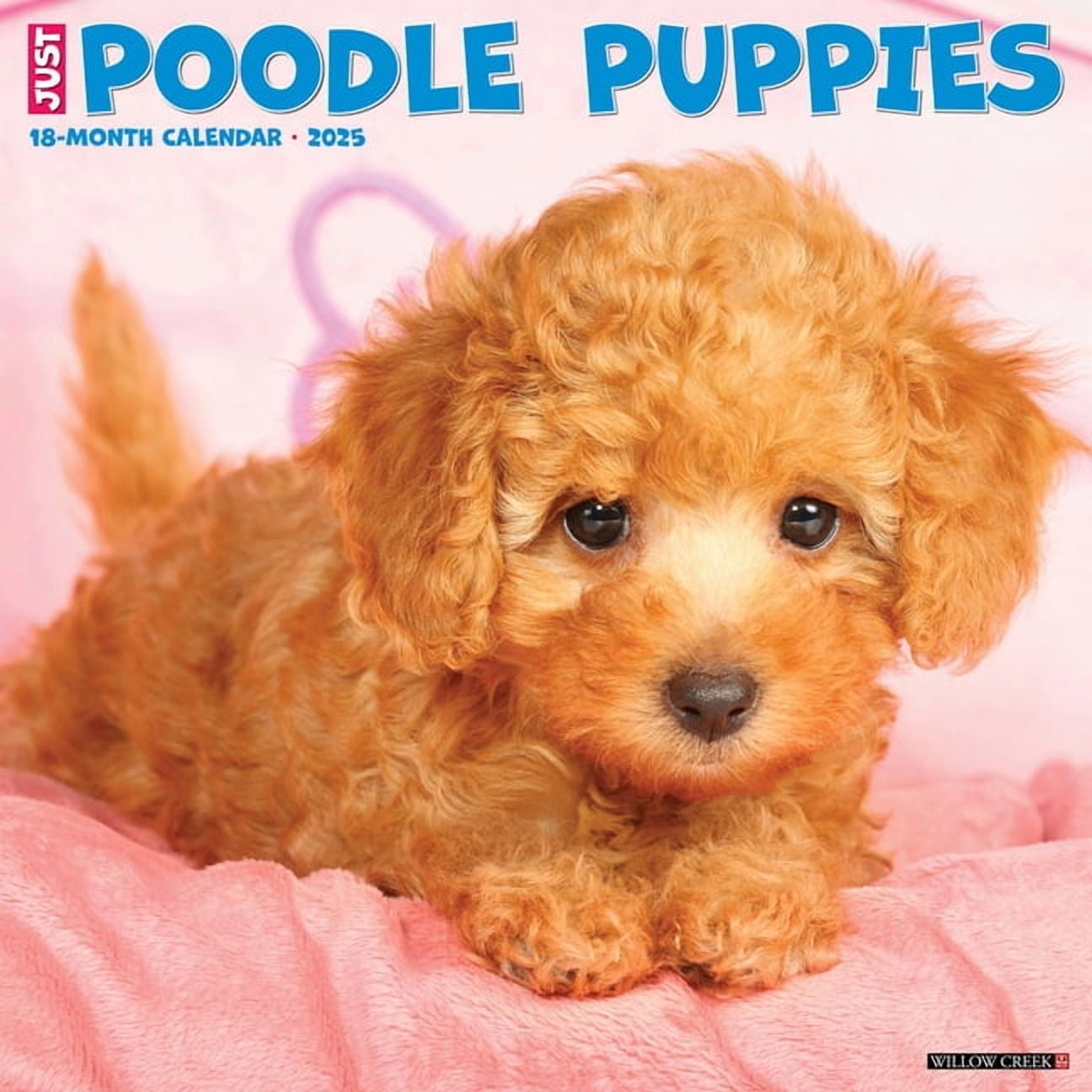 Poodle Puppies 2025 Wall Calendar