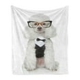 thumbnail image 1 of Poodle Soft Flannel Fleece Throw Blanket, Groomed Doggie in a Tuxedo and Glasses Sitting, Cozy Plush for Indoor and Outdoor Use, 50" x 60", White Dark Grey Coconut, by Ambesonne, 1 of 5