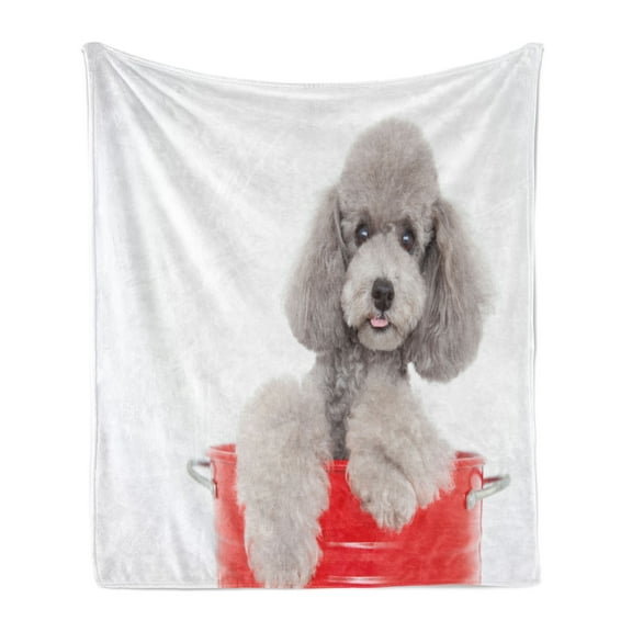 Poodle Soft Flannel Fleece Throw Blanket, Pet Animal in a Bucket Posing Puppy Eyes, Cozy Plush for Indoor and Outdoor Use, 70" x 90", Pale Taupe White, by Ambesonne