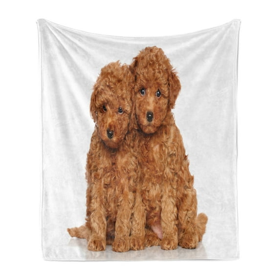 Poodle Soft Flannel Fleece Throw Blanket, Puppies Cozily Posing on a Plain Background Animal Lover, Cozy Plush for Indoor and Outdoor Use, 50" x 60", Pale Caramel Sand Brown, by Ambesonne