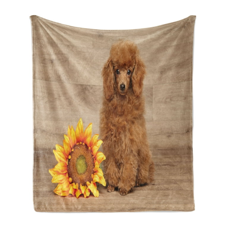 Poodle Soft Flannel Fleece Throw Blanket Sunflower and Dog on a