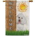thumbnail image 1 of Poodle Spring Summer Welcome House Flag Dog Hides Behind a Tree Sun Outside Yard Decor Flag Banner 28X40 Inch Double Side Style 2, 1 of 6