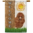 thumbnail image 1 of Poodle Spring Summer Welcome House Flag Dog Hides Behind a Tree Sun Outside Yard Decor Flag Banner 28X40 Inch Double Side Style 3, 1 of 6