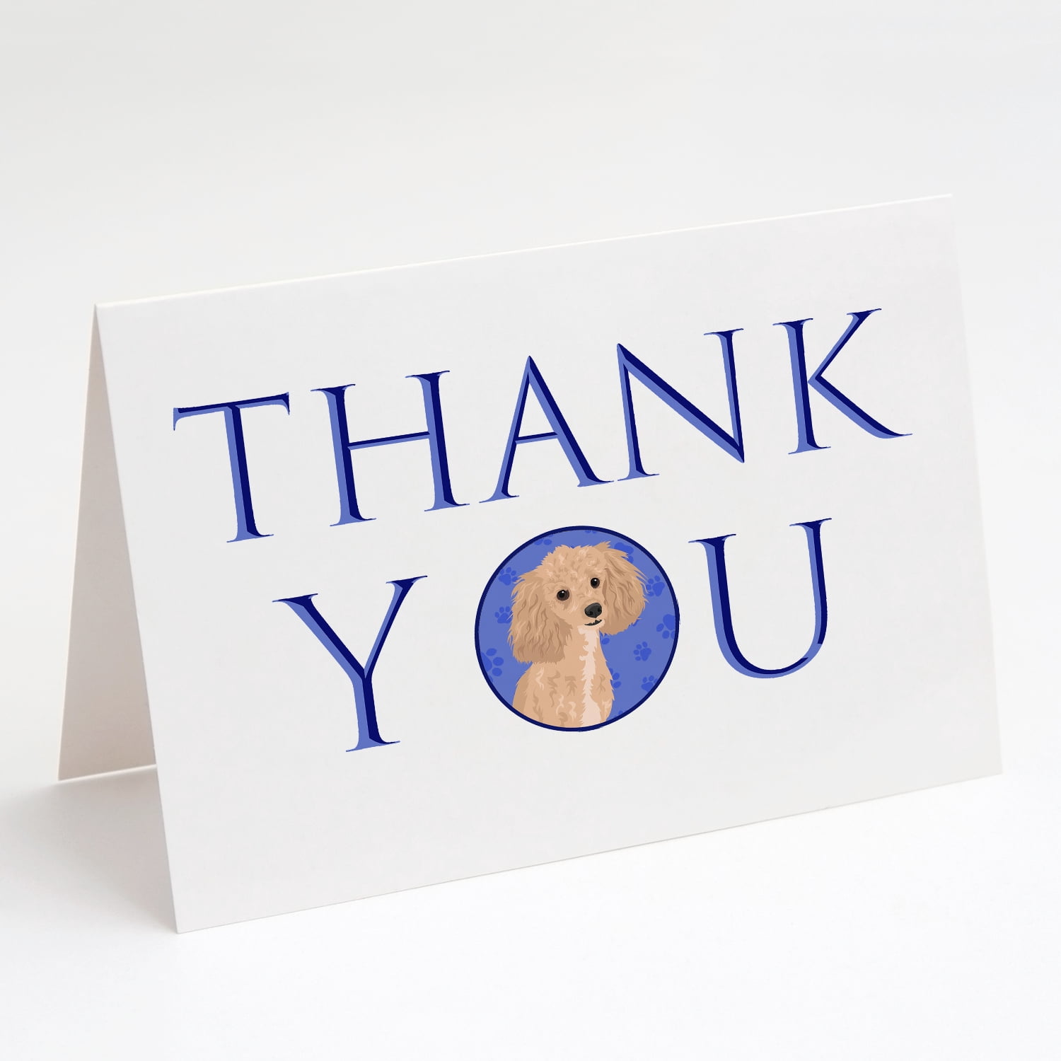 Poodle Toy Apricot #1 Thank You Greeting Cards and Envelopes Pack of 8 7 in x 5 in