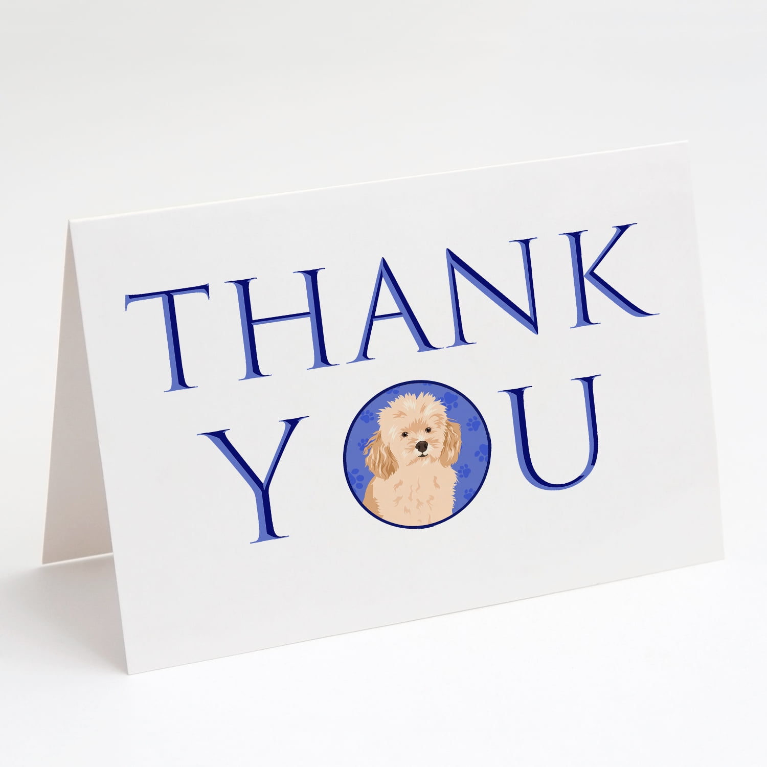 Poodle Toy Apricot #2 Thank You Greeting Cards and Envelopes Pack of 8 7 in x 5 in