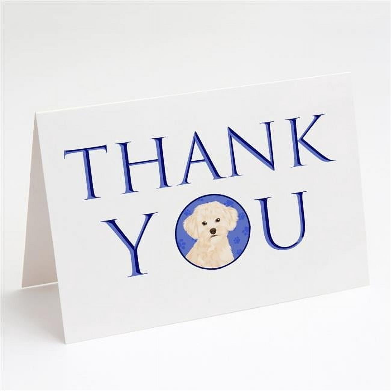 Poodle Toy Cream Thank You Greeting Cards and Envelopes Pack of 8 7 in x 5 in