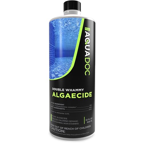 Pool Algaecide for Swimming Pool 90 Day Algaecide for Inground Pool to Prevent and Remove Pool