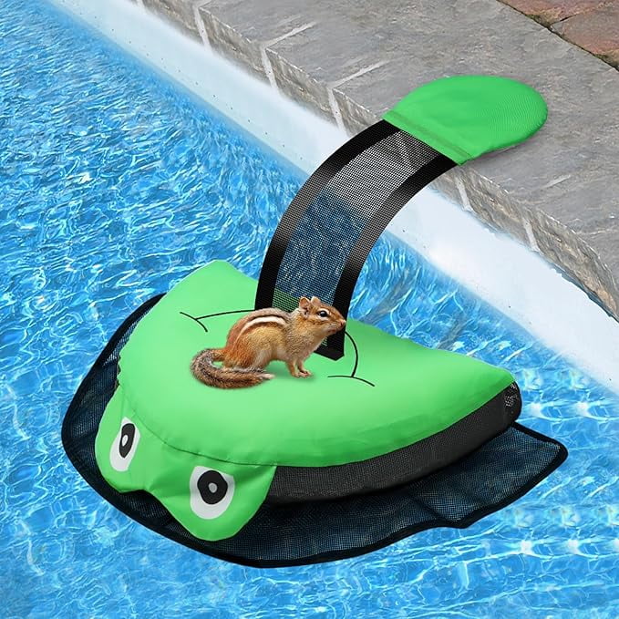 Pool Animal Saving Escape Ramp, Frog Floating Ramp Rescues for Swimming ...