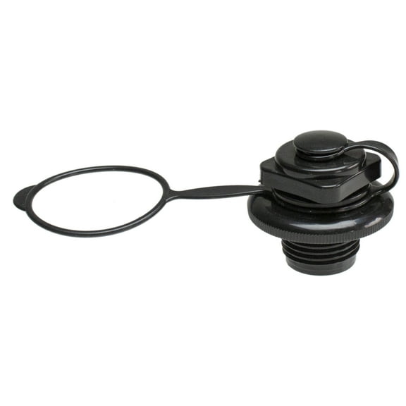 Pool Central Black Boston Inflation Valve