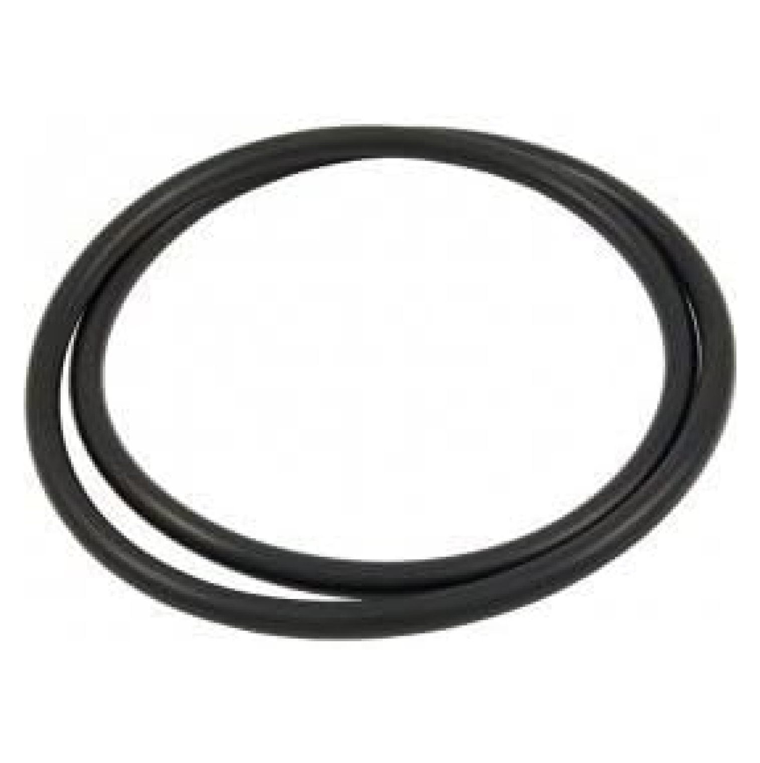 Pool Filter ORing for FNS Plus & Quad DE Clean & Clear 39010200 O497