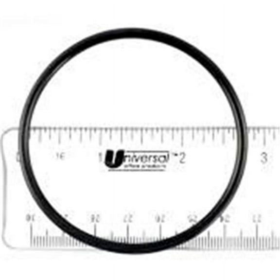 Pool Filter Part O-Ring