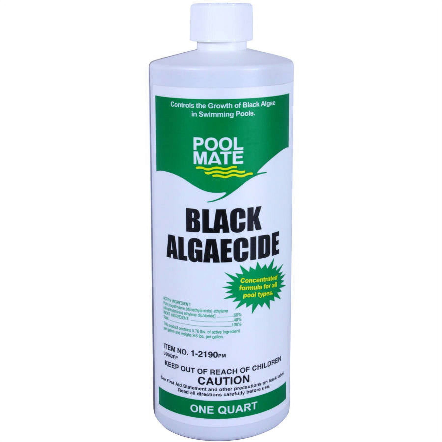 Pool Mate Black Algaecide for Swimming Pools, Quart