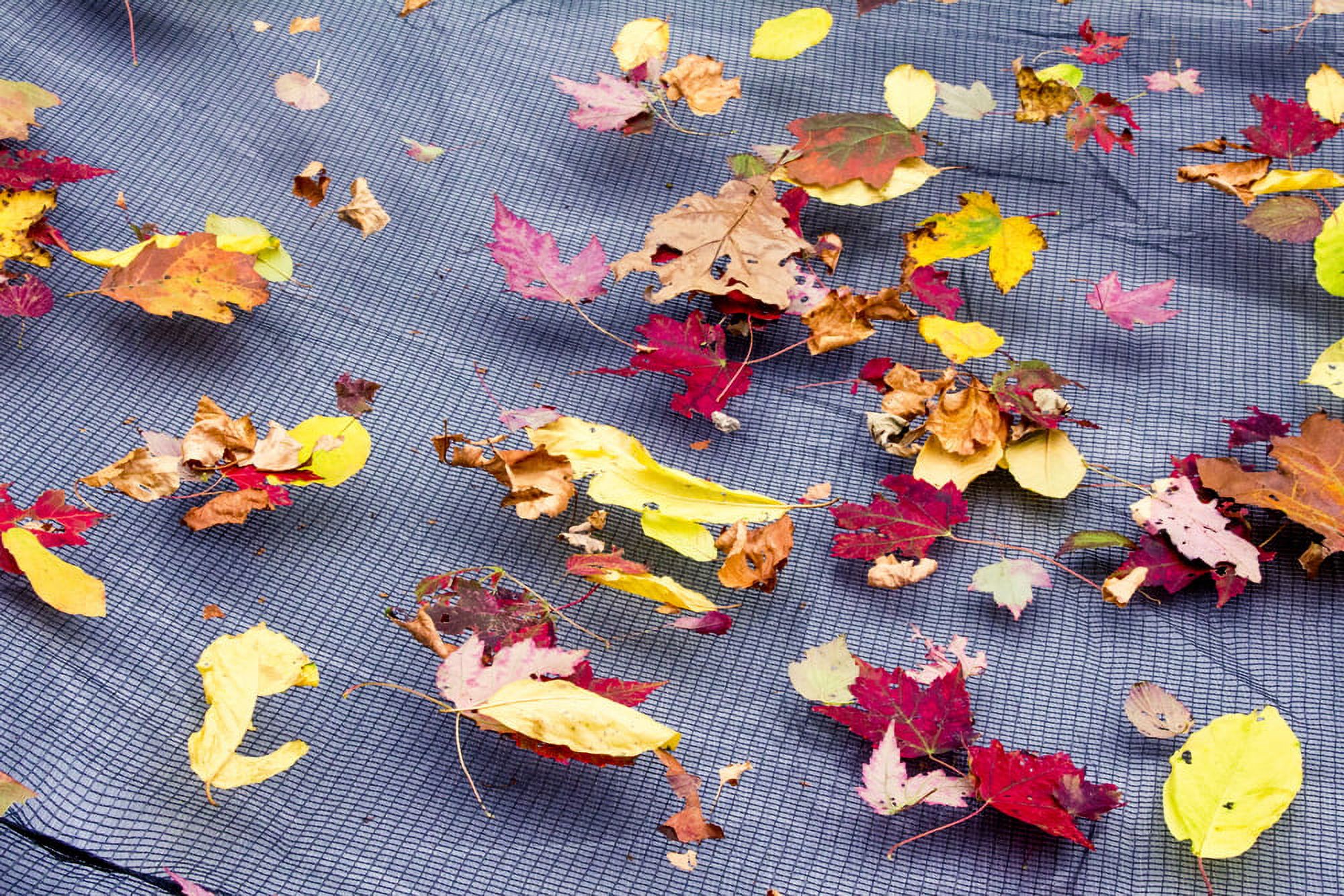 Pool Mate Professional-Grade Leaf Net for In-Ground Swimming Pool Winter Covers - Thumbnail 5