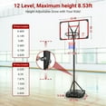Pool Side Basketball Hoop Adjustable Height Net Backboard Swimming Pool