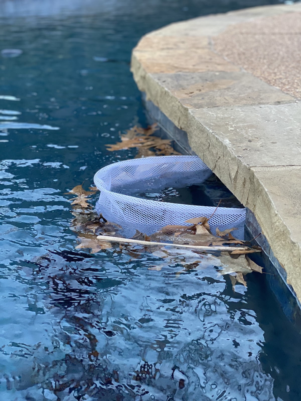 Lot De 30 Chaussettes D'écumoire De Piscine, Filet De Protection En Maille Ultra Fine Pour Paniers D'écumoire, écumeur, Nettoie Les Débris Et Les Feuilles Pour Piscines Creusées Et Hors Sol