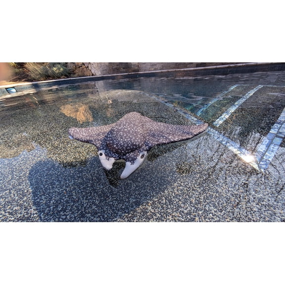 Pool Stingray Original