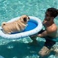 thumbnail image 1 of Inflatable Pet Float PoolCandy, 1 of 6