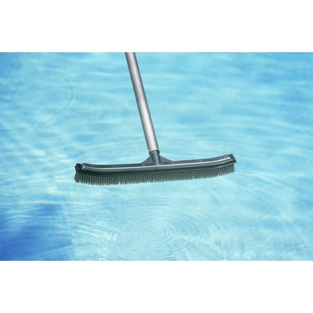 Poolmaster Premier Collection Aluminum-Back Algae Swimming Pool and Spa Cleaning Brush - (18 Inch)