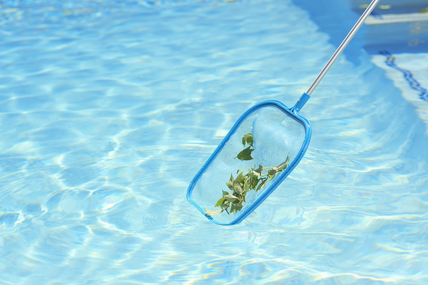 Blue Polypropylene Pool Leaf Skimmer with 4-Foot Aluminum Pole
