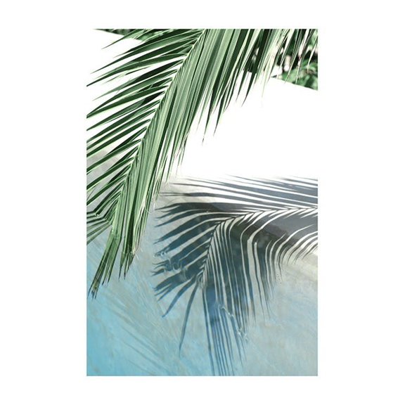 Poolside Palm Reflection Print Wall Art, Modern Wall Decor For Living Room Bedroom, 8x12 UNFRAMED