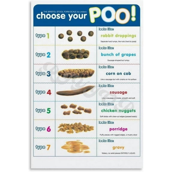Poop Chart Bristol Stool Chart Poster Stool (1) Canvas Painting Wall Art Poster for Bedroom Living Room Decor