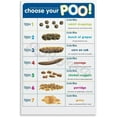 thumbnail image 1 of Poop Chart Bristol Stool Poster Wall Art For Classroom Educational Posters Decor, Home Living Room Decor, 1 of 1