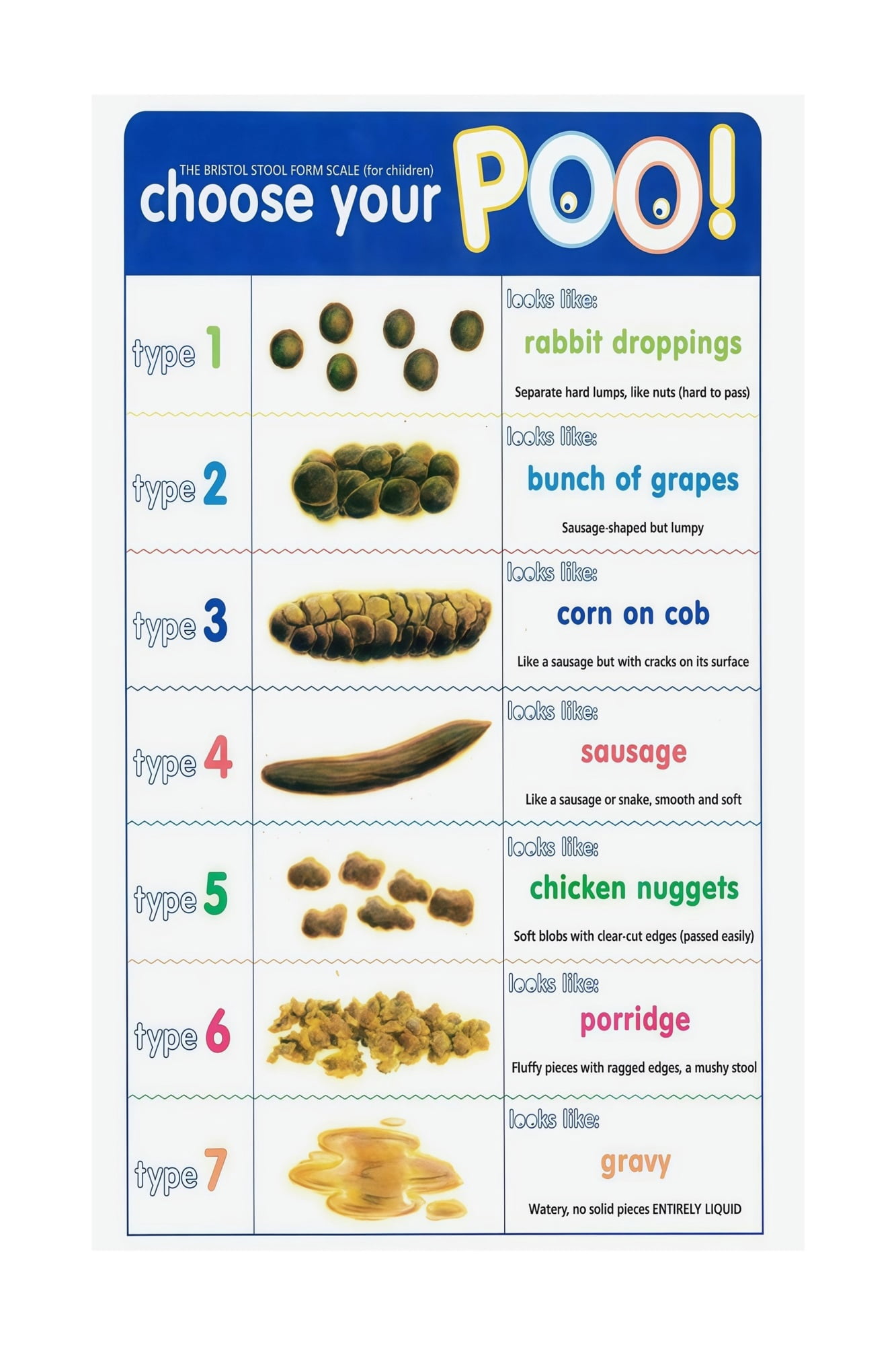 Poop Chart Bristol Stool Poster Wall Art for Classroom Educational ...