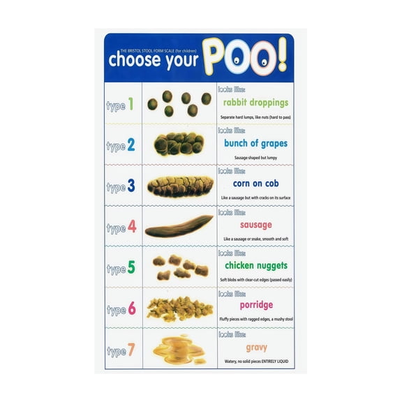 Poop Chart Bristol Stool Poster Wall Art for Classroom Educational Posters Decor Home Living Room Decor Health Education Chart